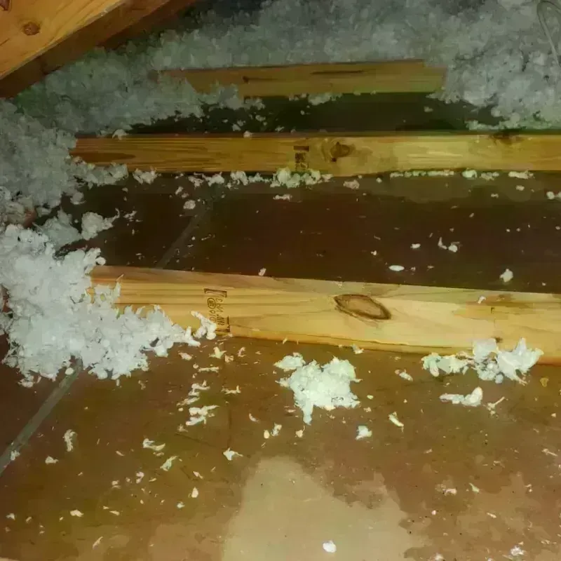 Attic Water Damage in Darien, CT